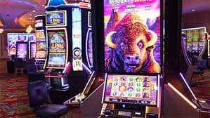 m33m ဘောလုံးလောင်းကစား Sportsbook